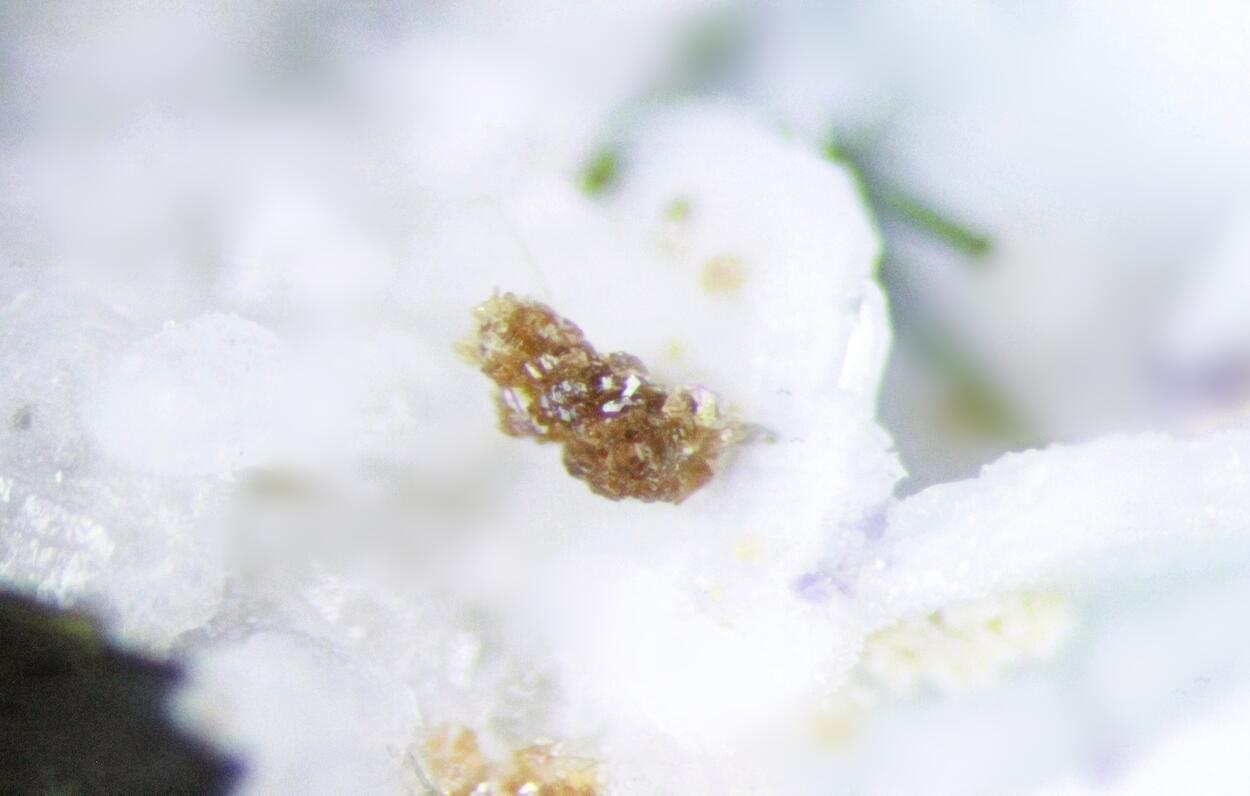 Hilairite Aegirine & Fluorite