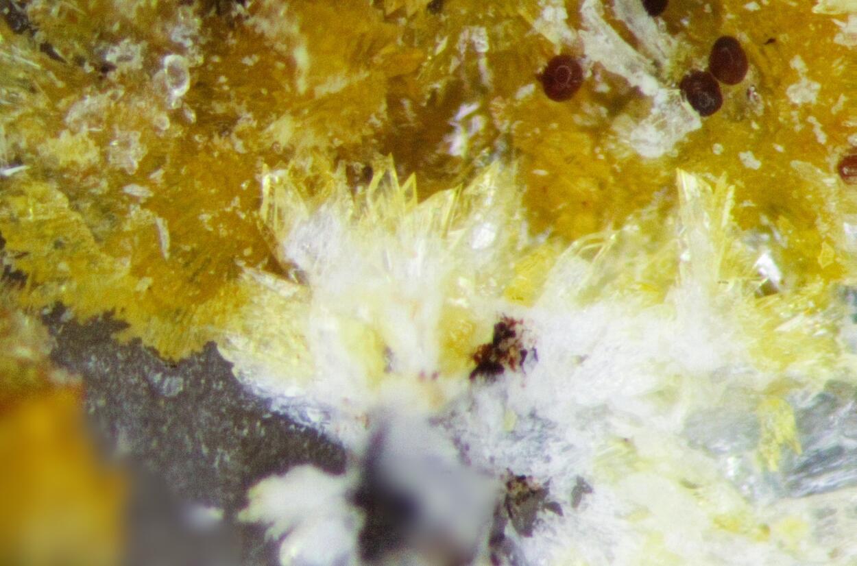 Stewartite & Laueite