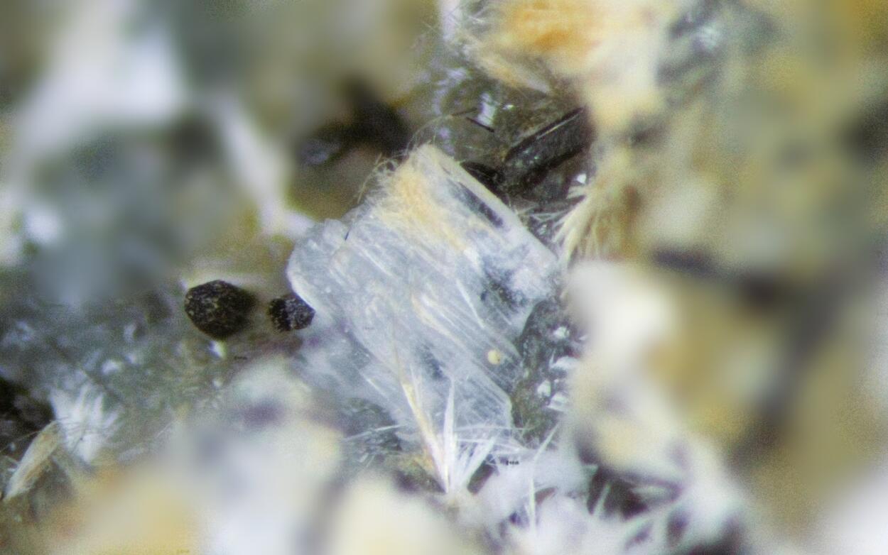 Unnamed (Sazhinite-related mineral I) & Pectolite