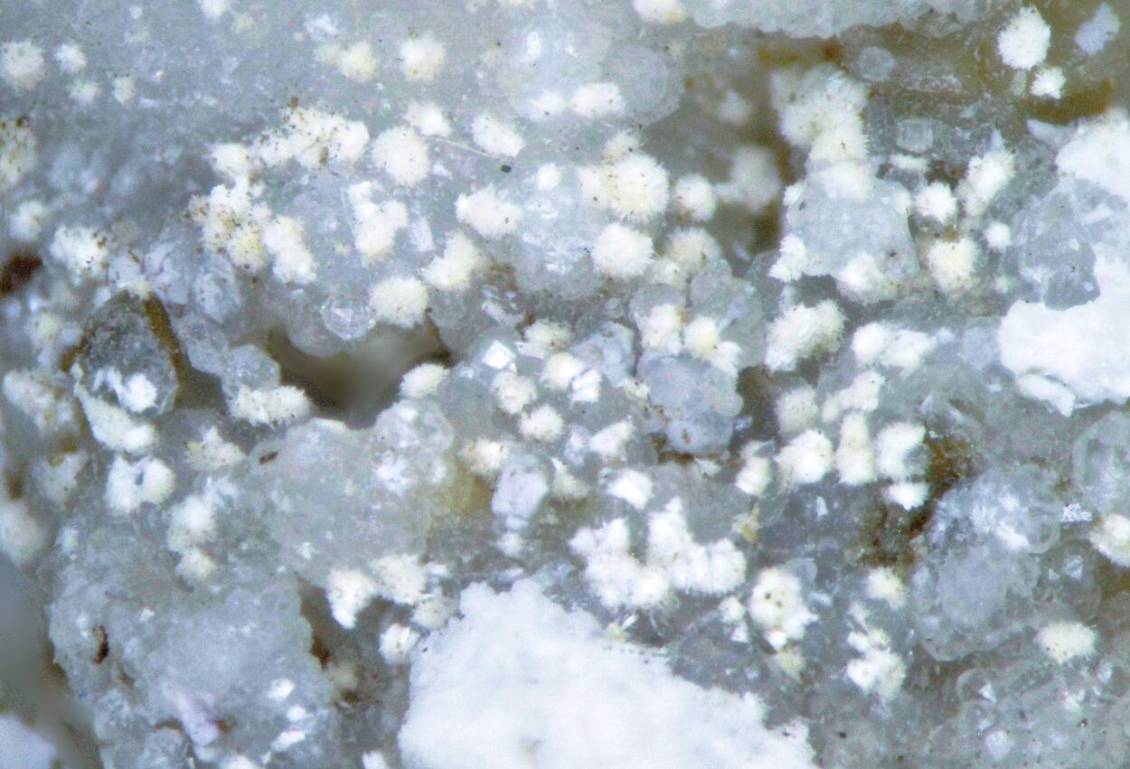 Franconite & Analcime