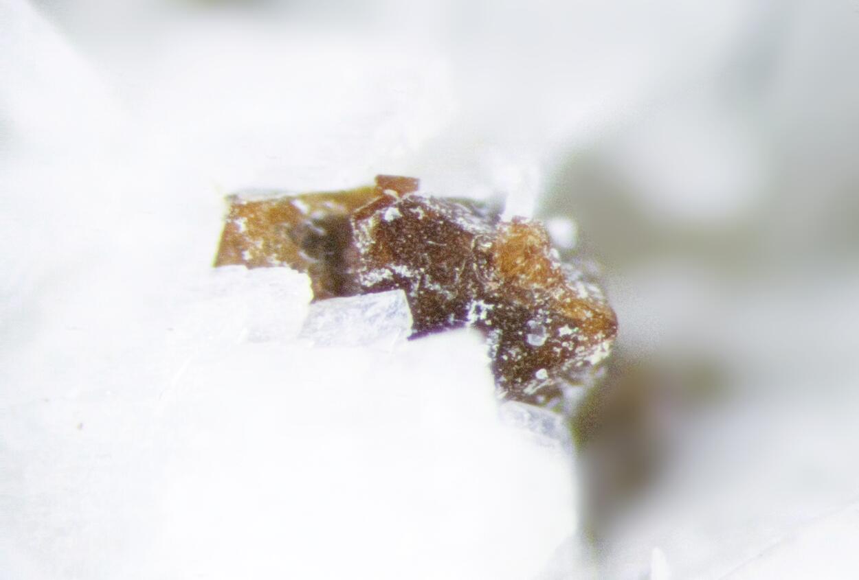 Pyrochlore Polylithionite Albite & Aegirine