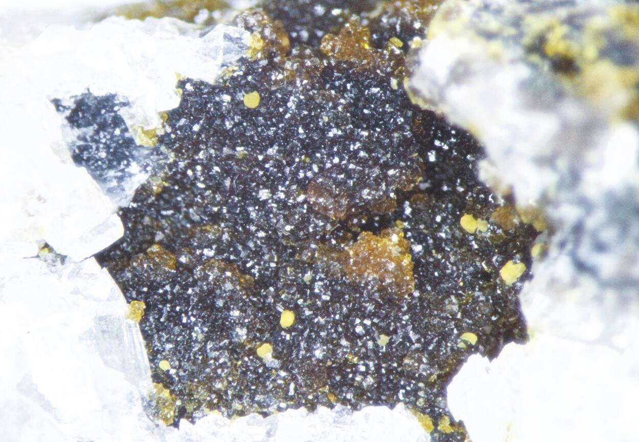 Greifensteinite & Cookeite