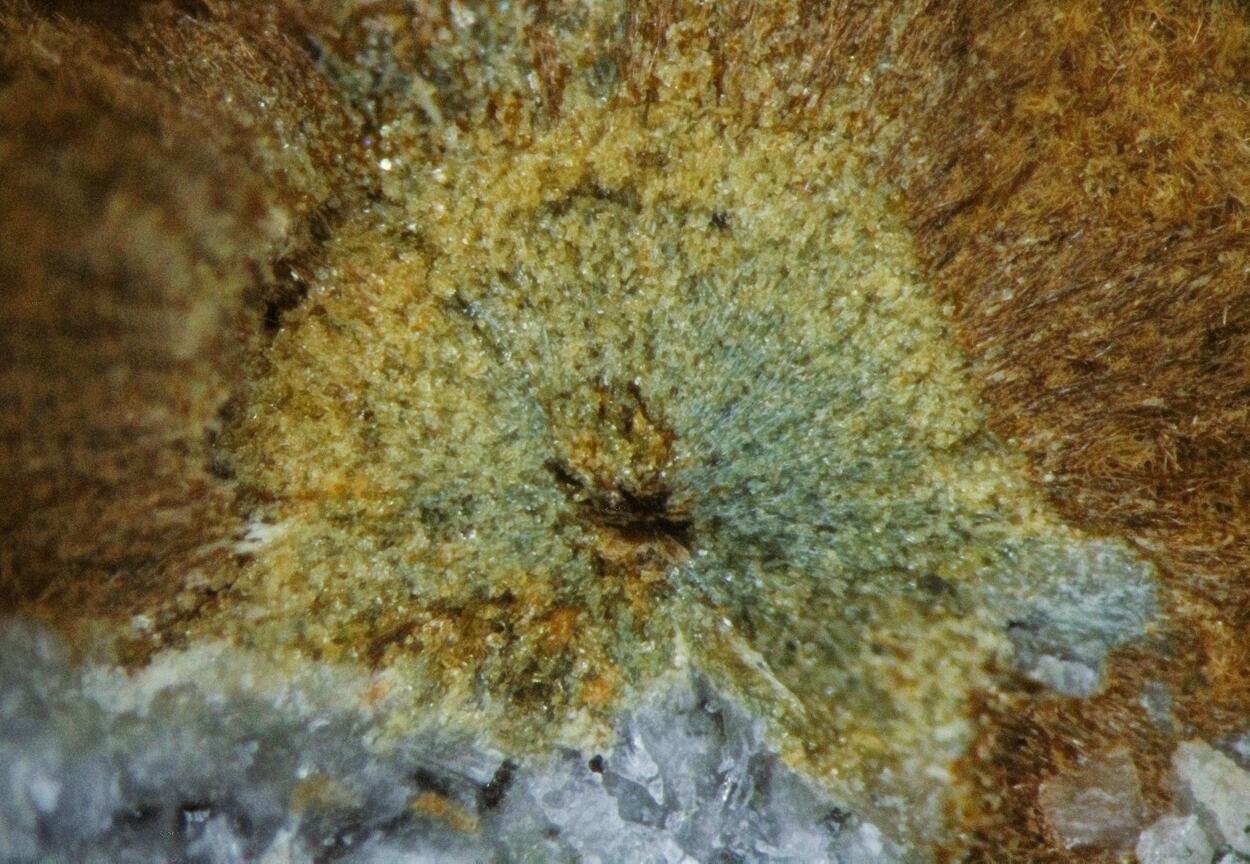 Tuperssuatsiaite & Unnamed (Fe-analogue of Zakharovite)