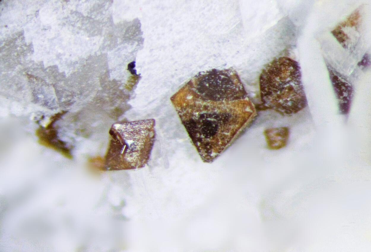 Pyrochlore Albite & Aegirine