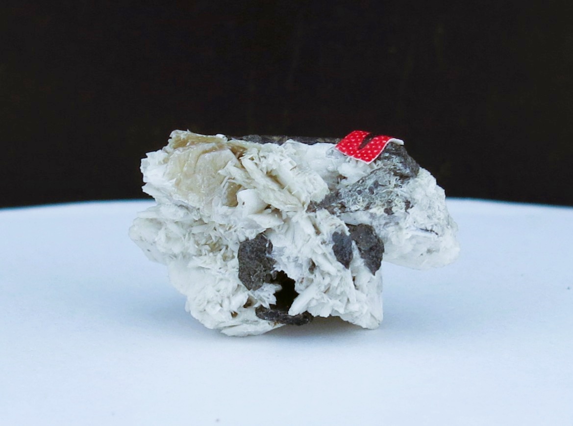 Pyrochlore Polylithionite Albite & Aegirine