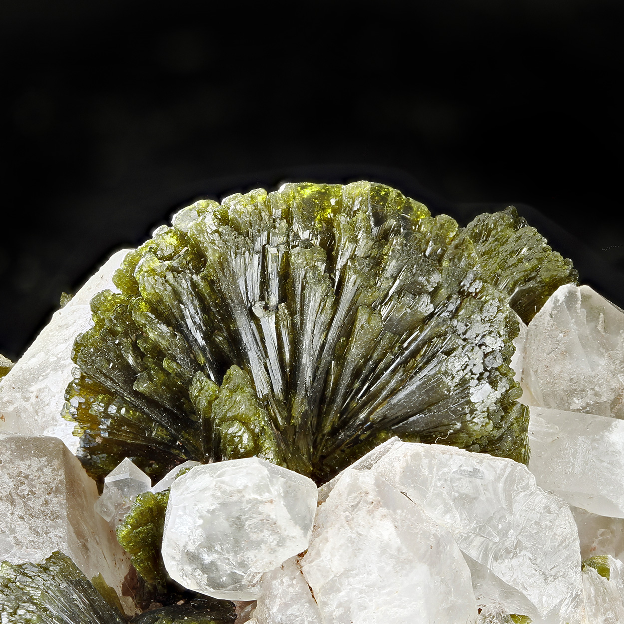 Epidote & Quartz