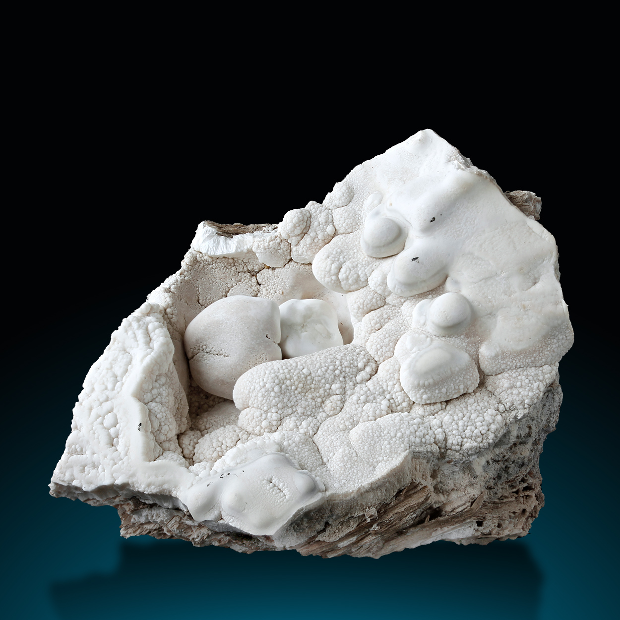 Aragonite Var Flos Ferri