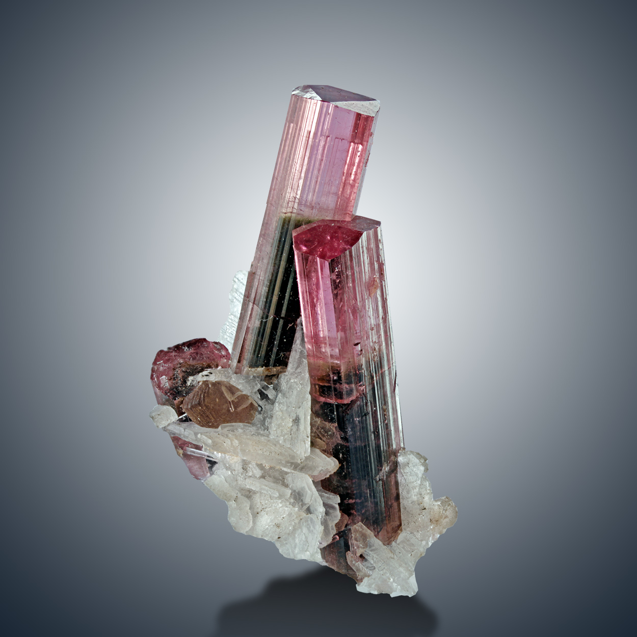 Tourmaline & Cleavelandite