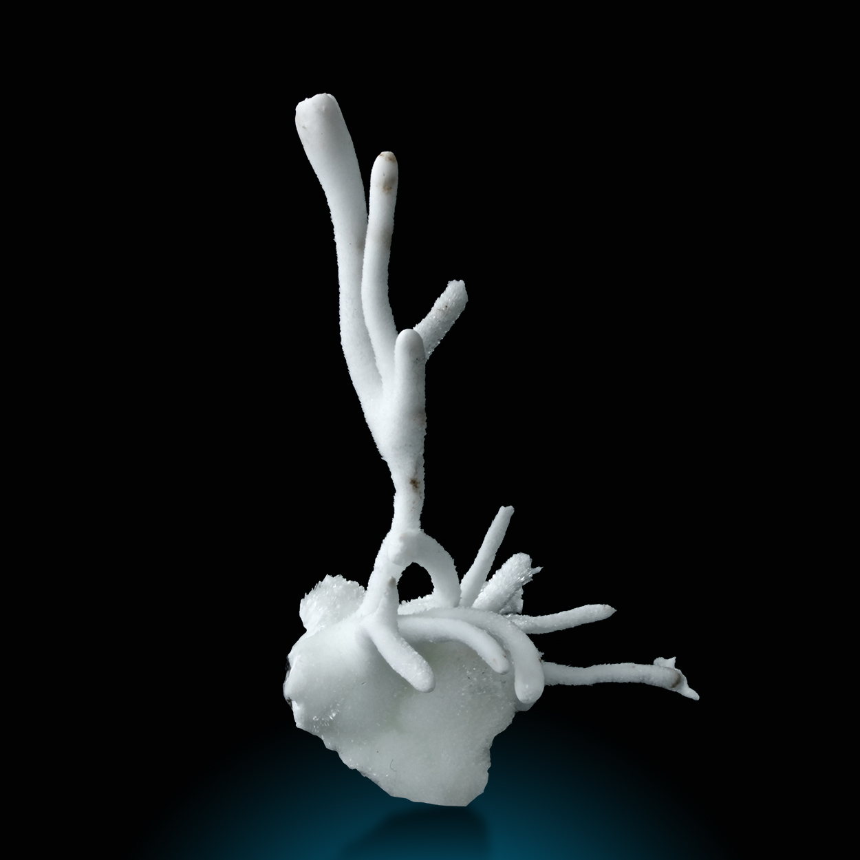 Aragonite Var Flos Ferri