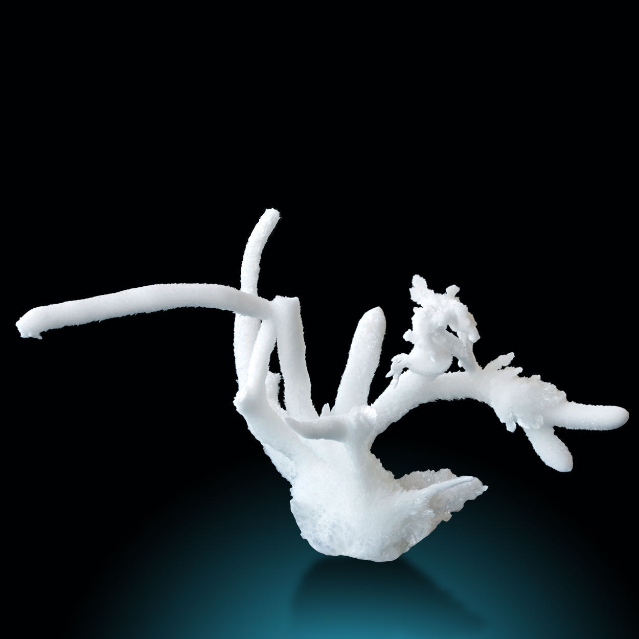 Aragonite Var Flos Ferri