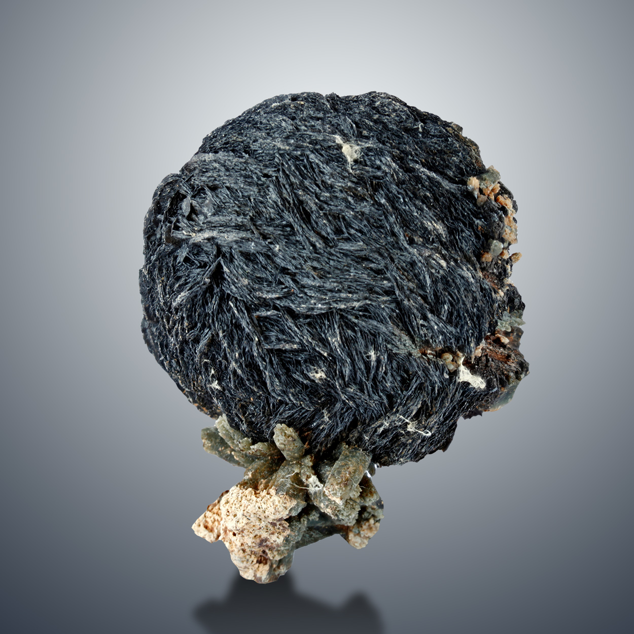 Iron Rose With Prase