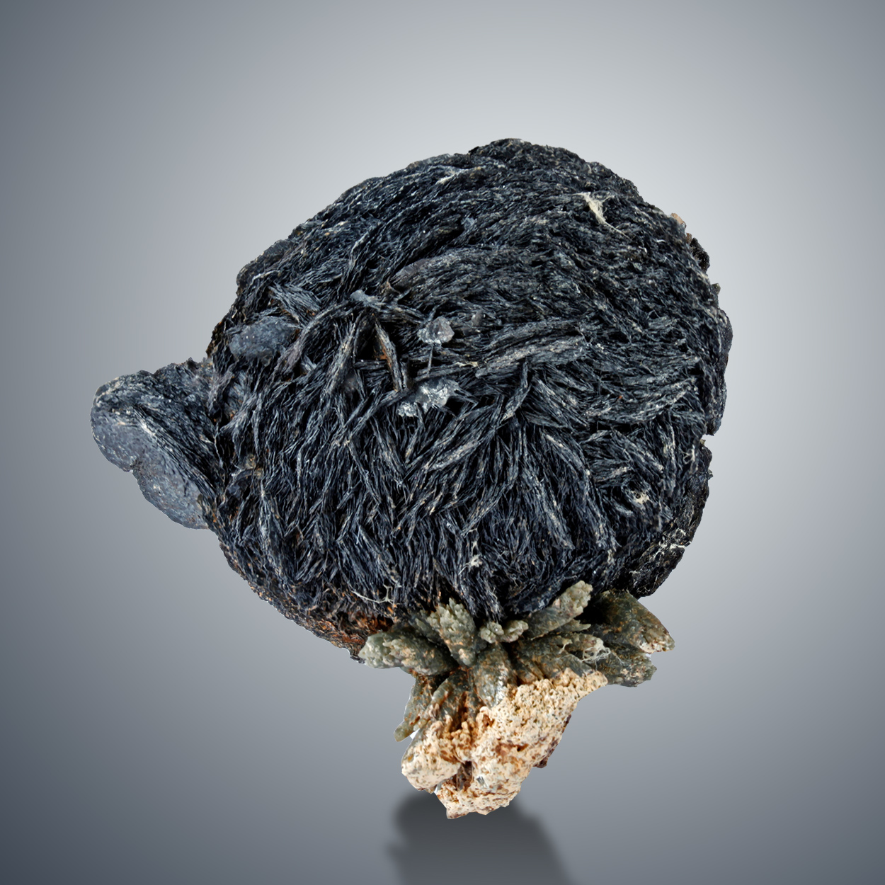 Iron Rose With Prase