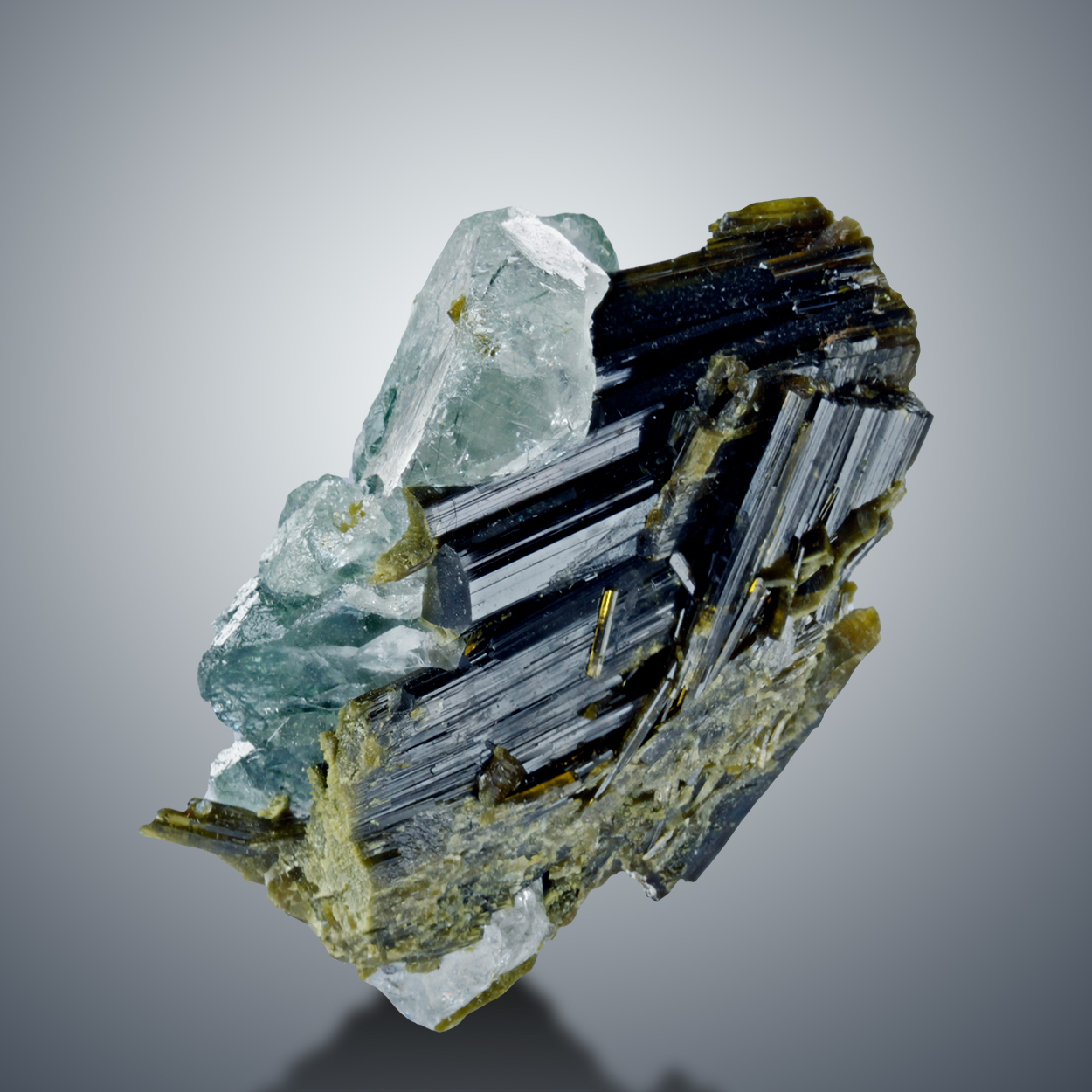 Apatite On Epidote