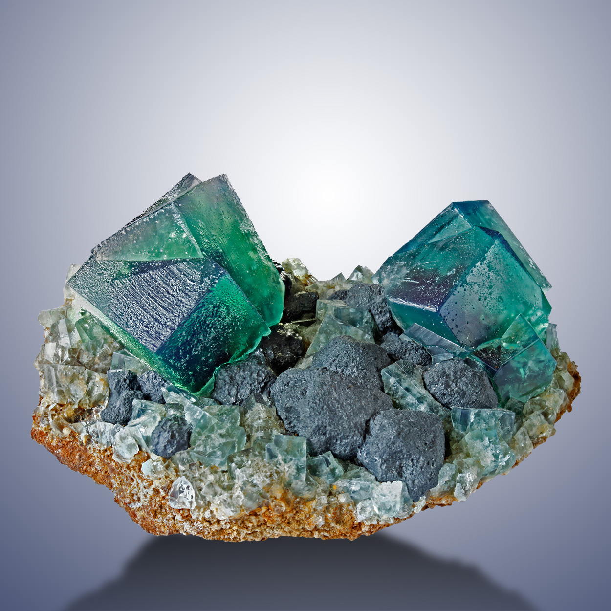Fluorite With Galena