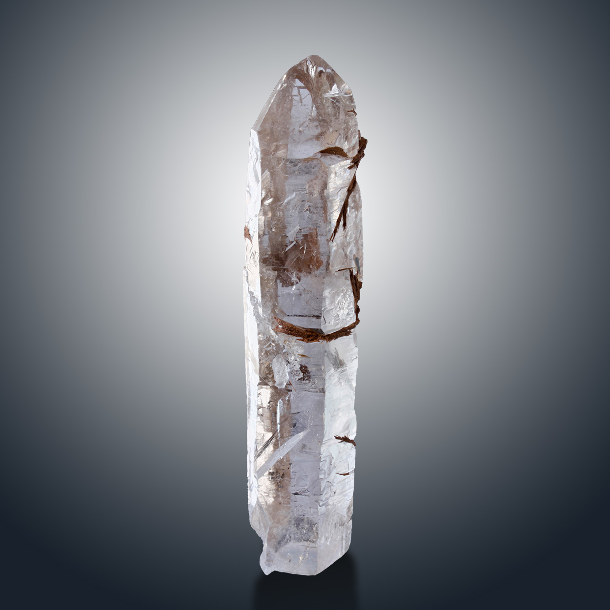 Quartz & Muscovite