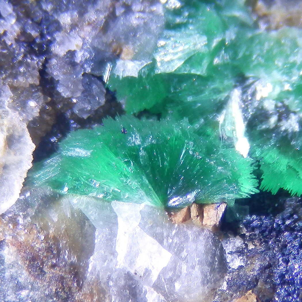 Annabergite