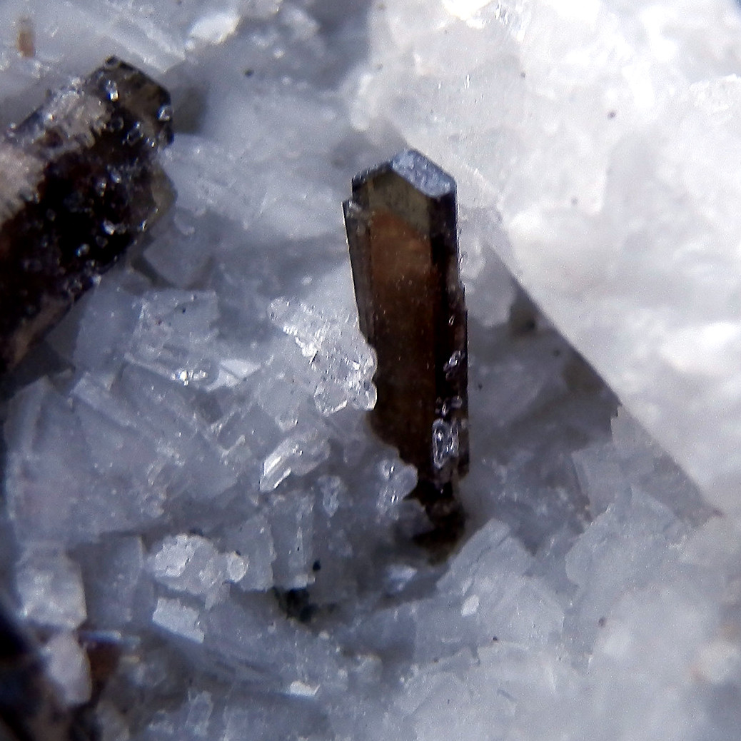 Allanite-(Ce) & Dissakisite-(Ce)