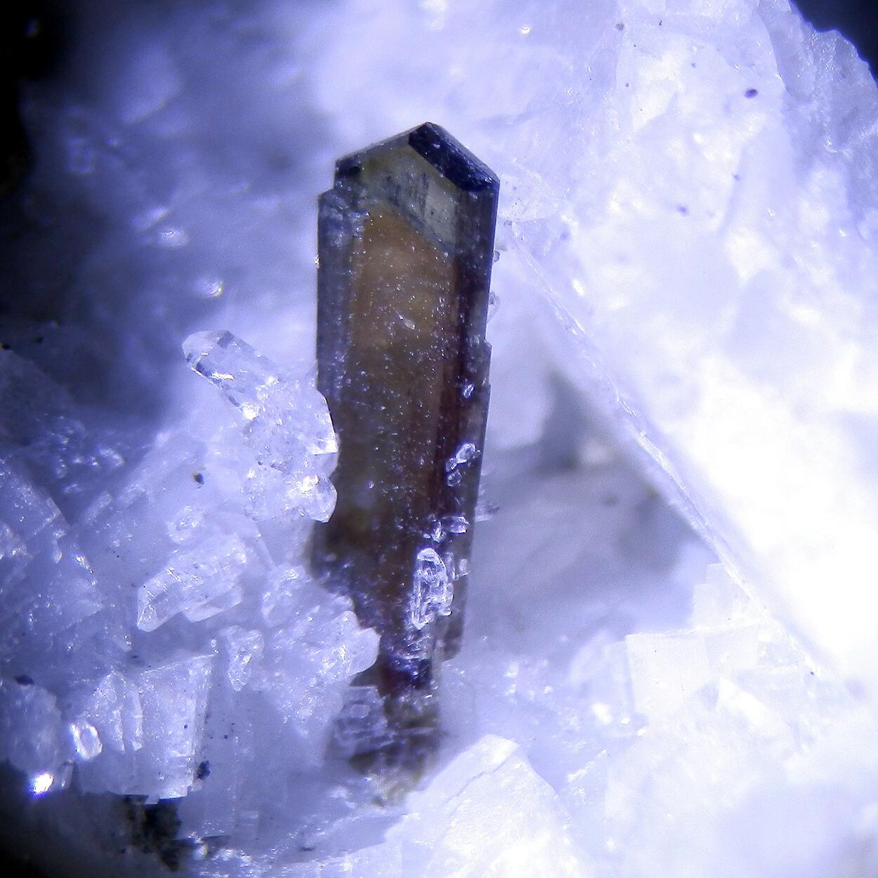 Allanite-(Ce) & Dissakisite-(Ce)