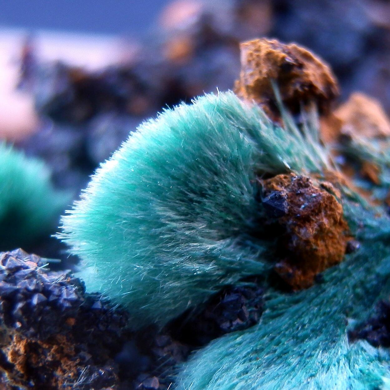 Cuprite & Aurichalcite