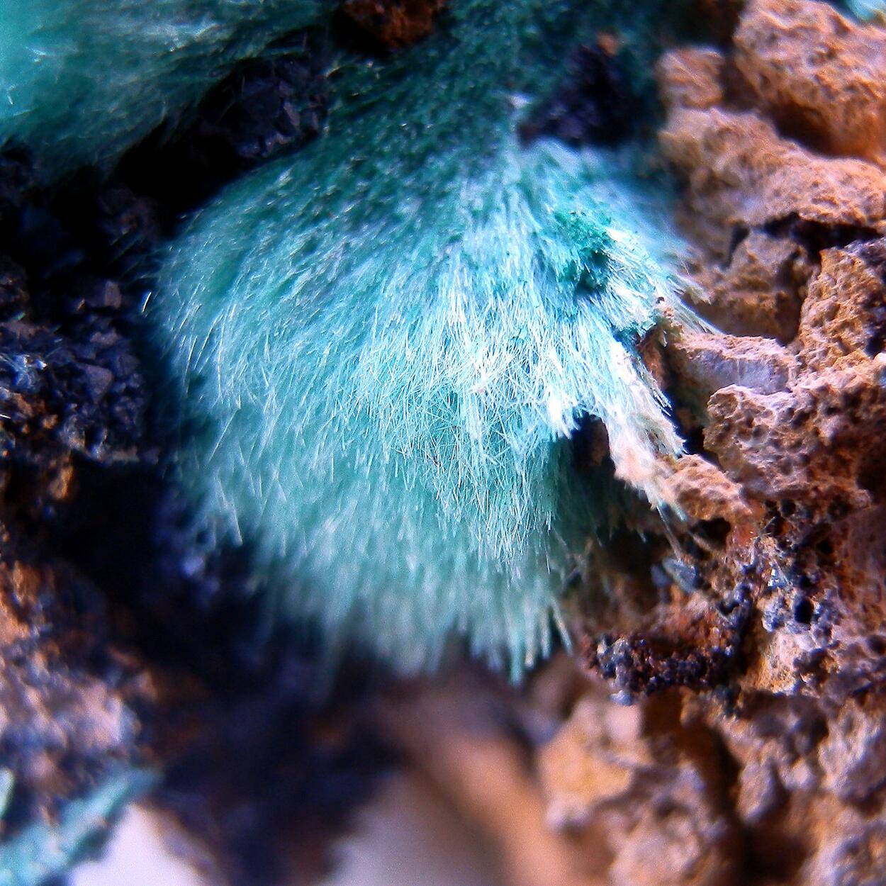 Cuprite & Aurichalcite