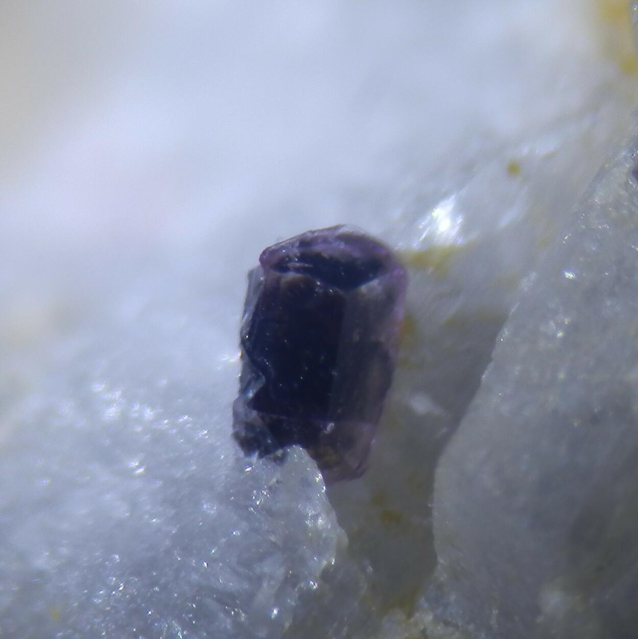 Hydrokenopyrochlore & Rubellite