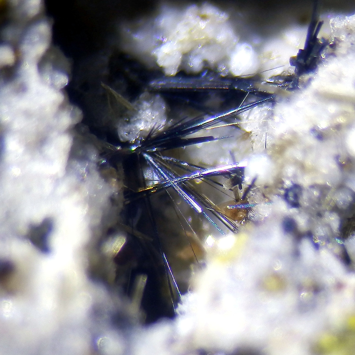 Azoproite & Phlogopite & Enstatite