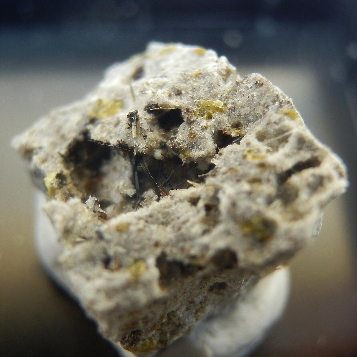 Azoproite & Phlogopite & Enstatite