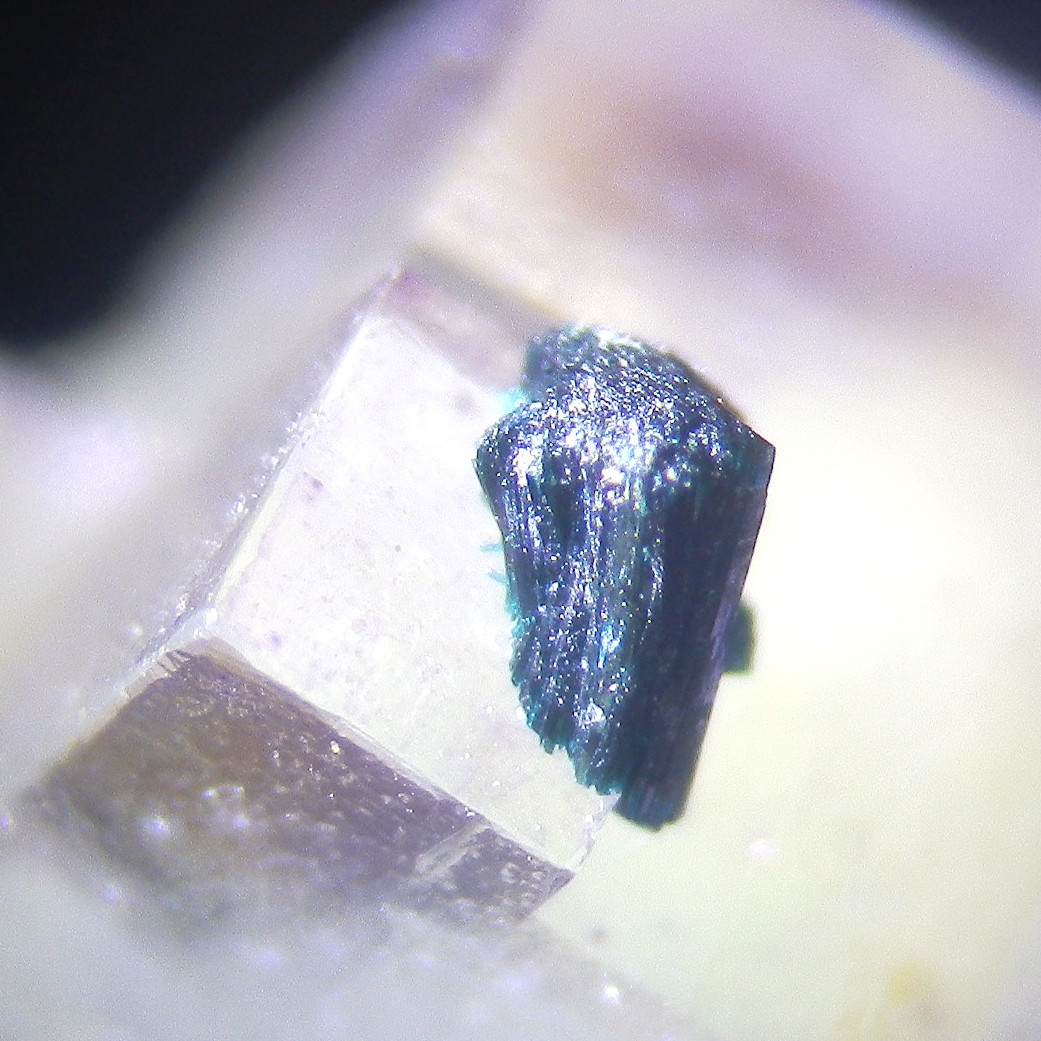 Clinoclase & Fluorite