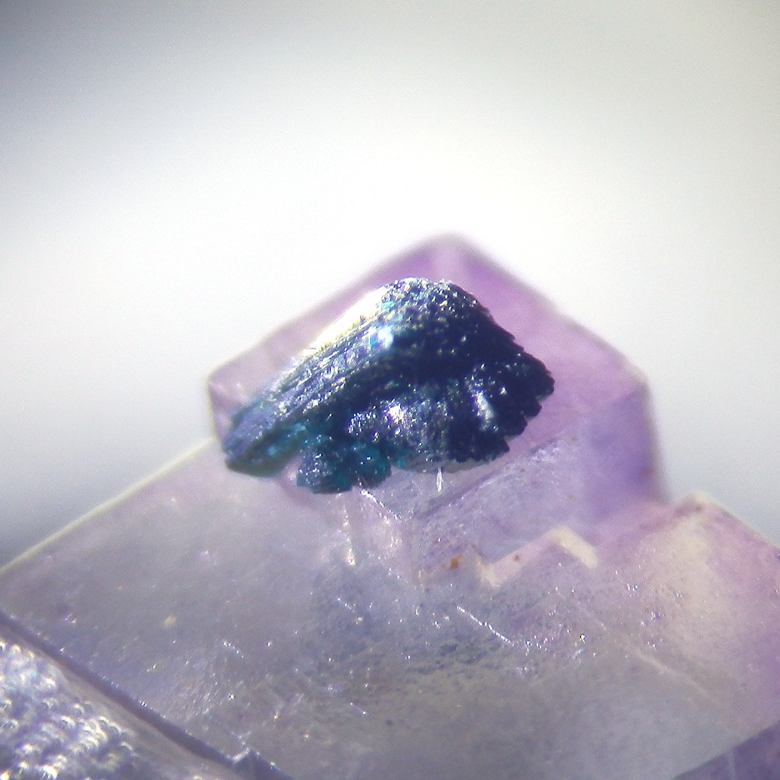 Clinoclase & Fluorite