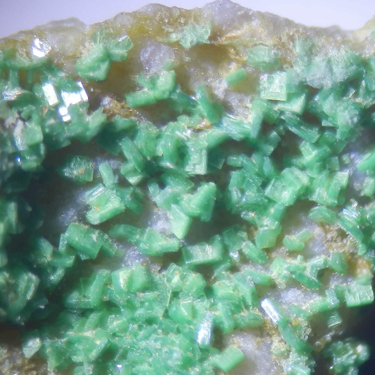 Torbernite