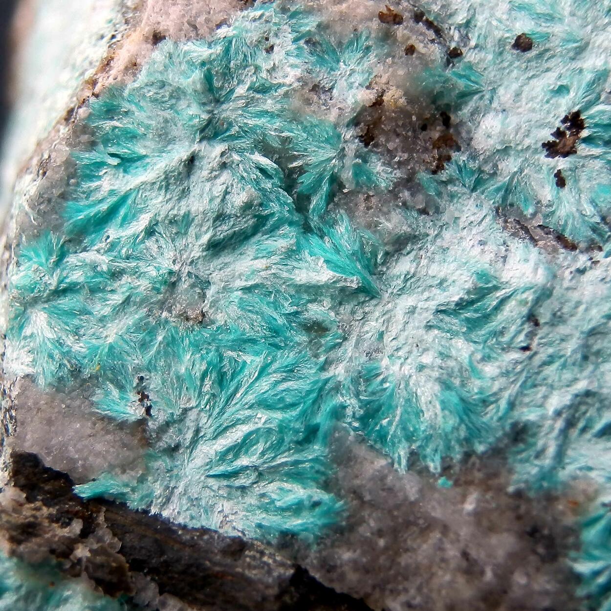 Aurichalcite