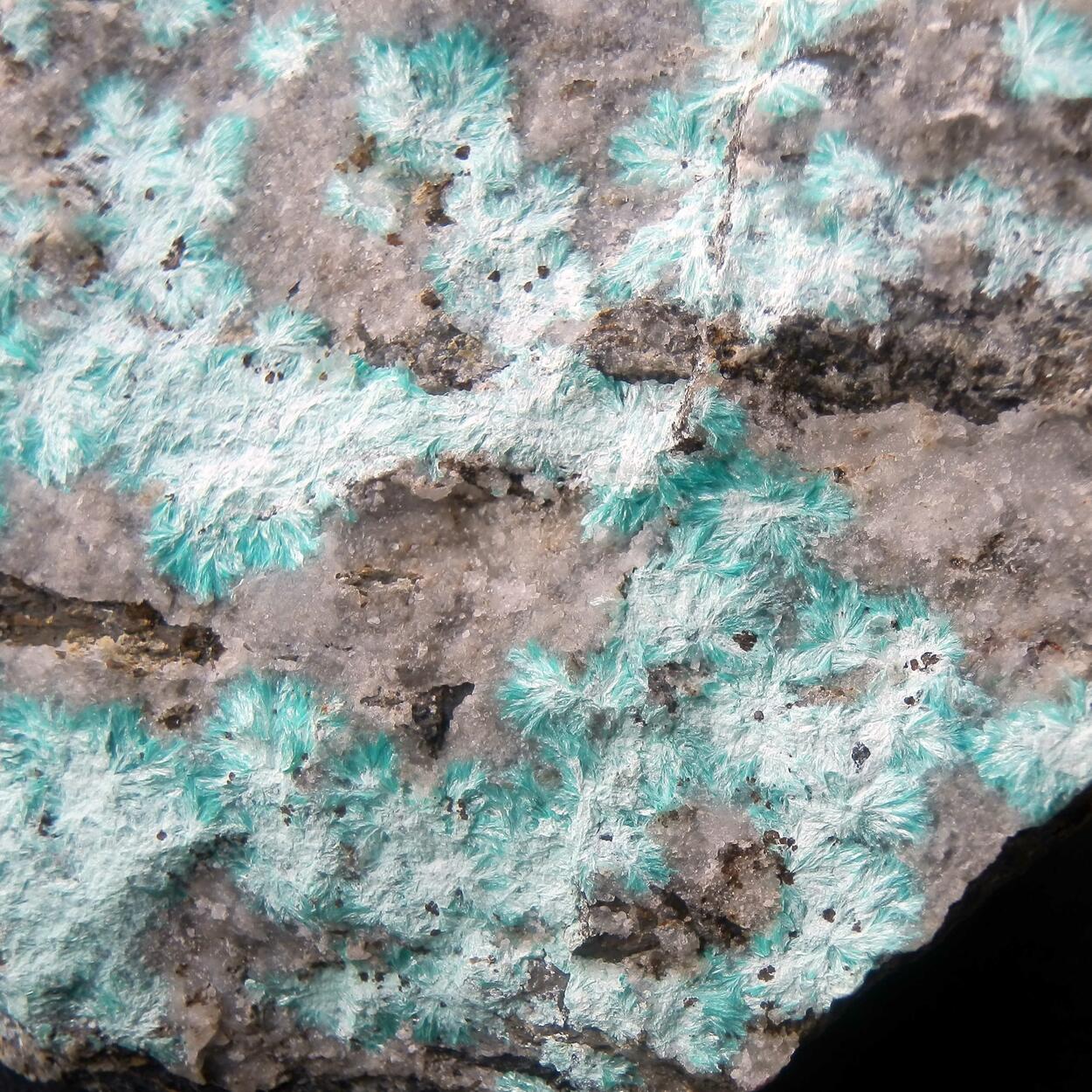 Aurichalcite