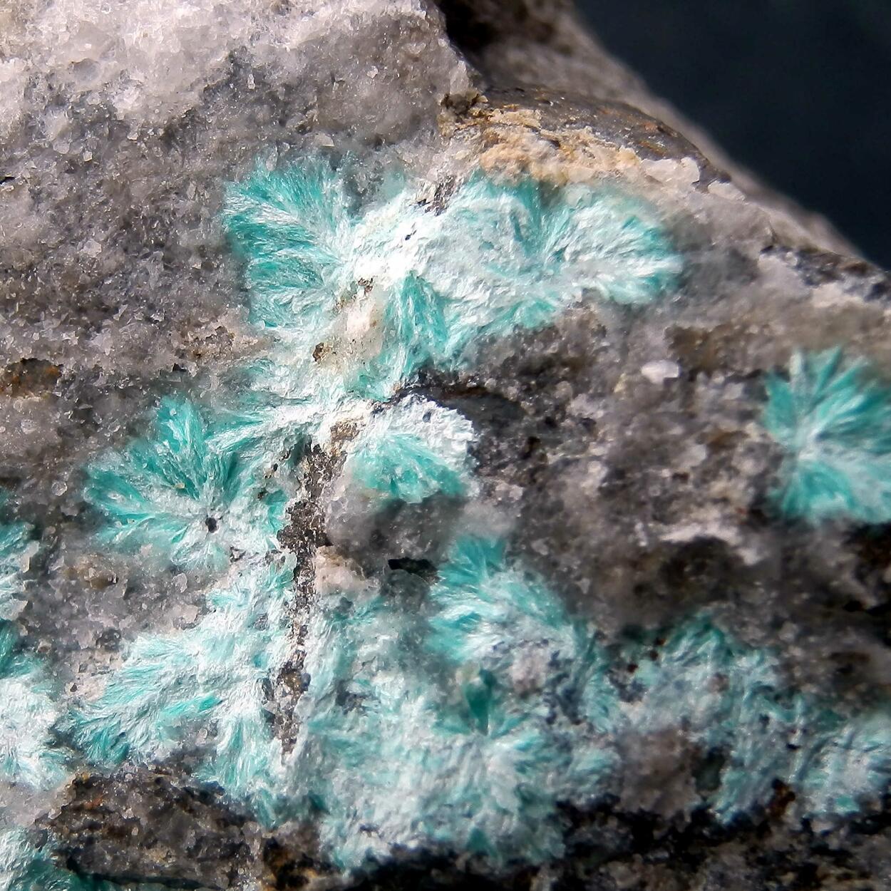 Aurichalcite
