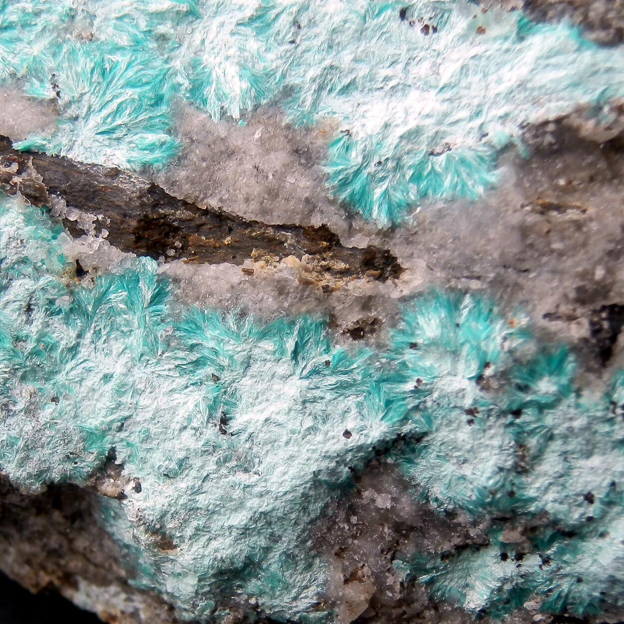 Aurichalcite