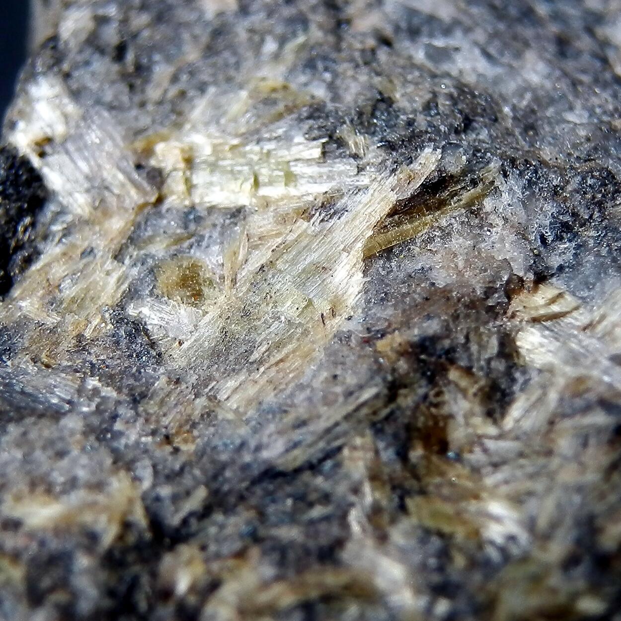 Amphibole Supergroup