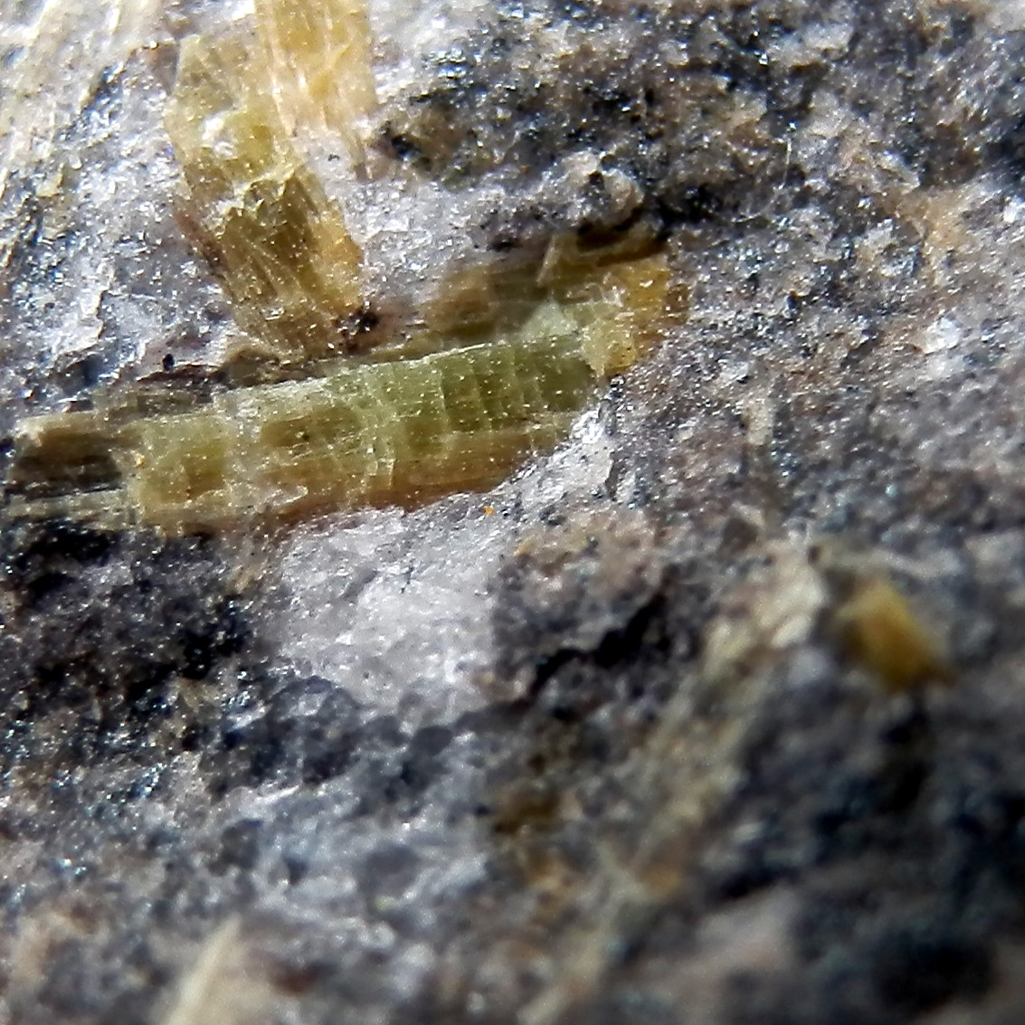 Amphibole Supergroup