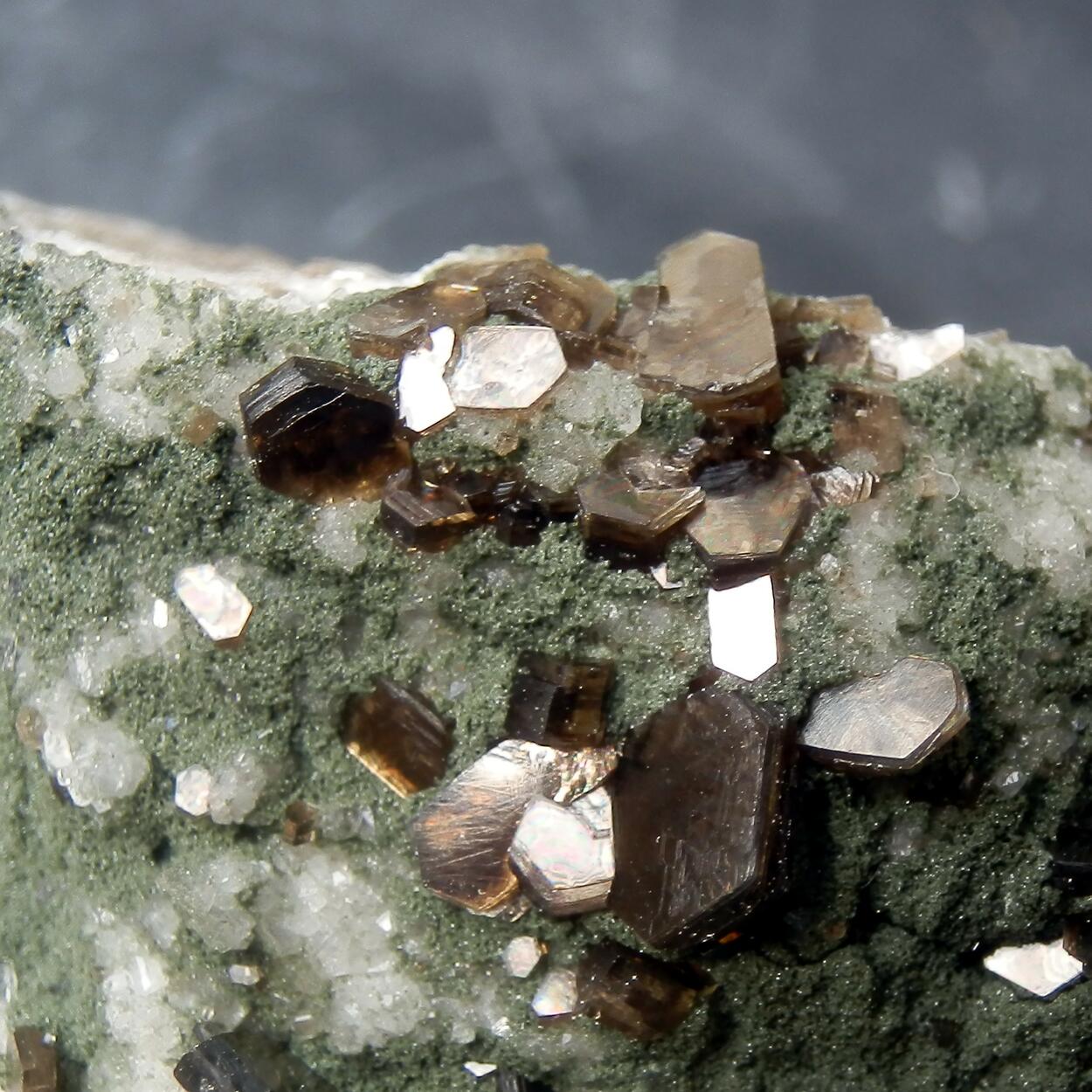 Muscovite