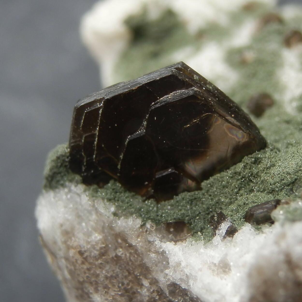 Muscovite