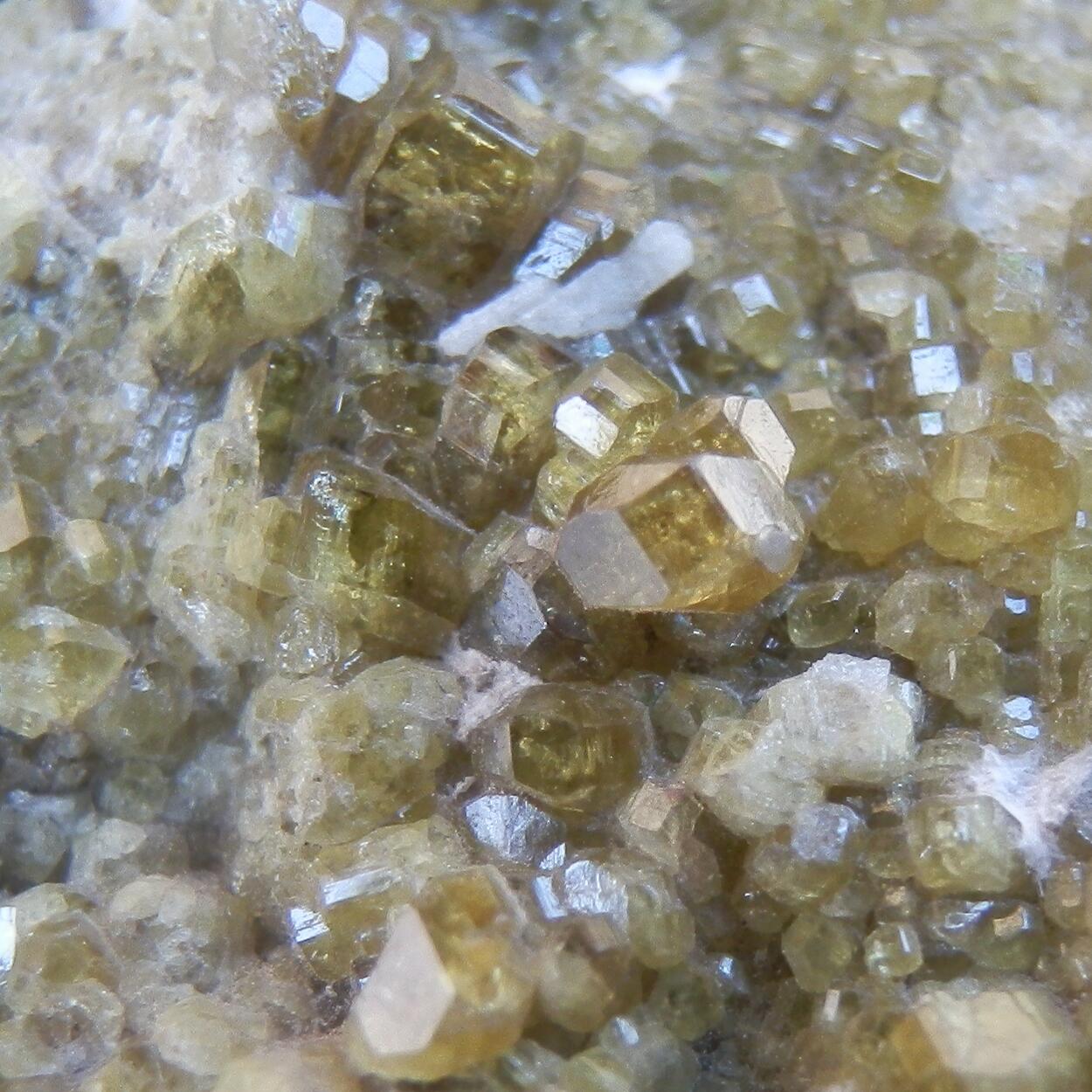 Epidote & Fassaite & Garnet