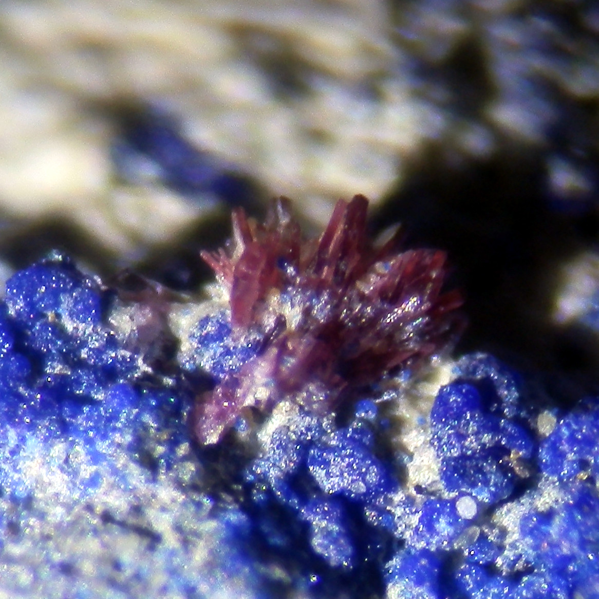 Erythrite & Azurite & Cerussite