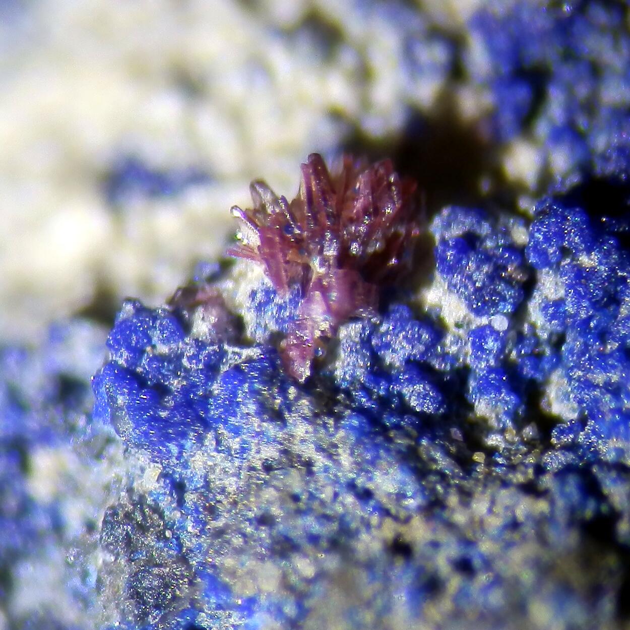 Erythrite & Azurite & Cerussite