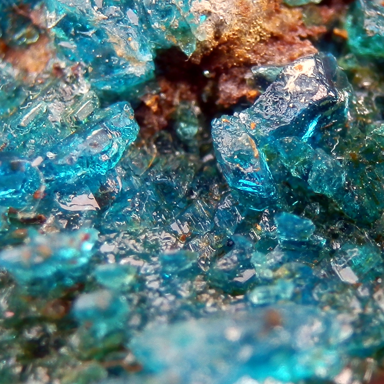 Chalcanthite