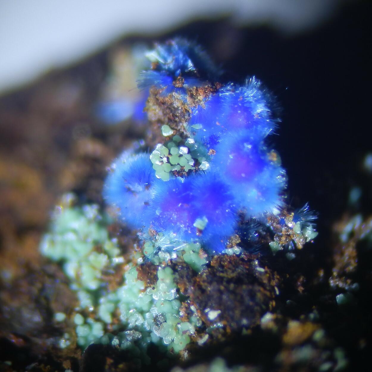 Carbonatecyanotrichite