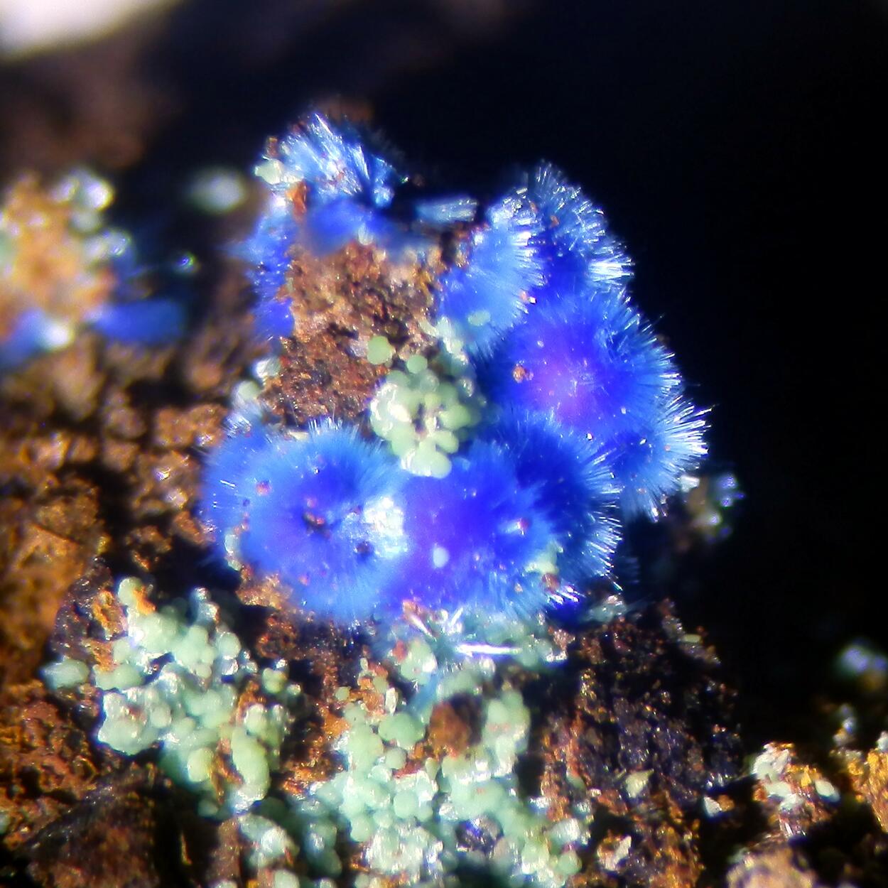 Carbonatecyanotrichite