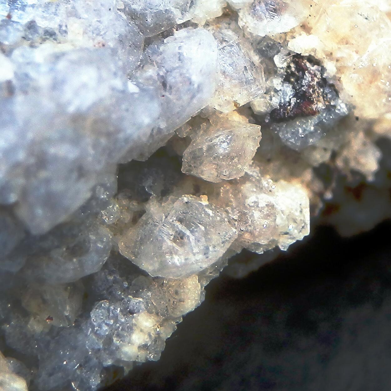 Phacolite