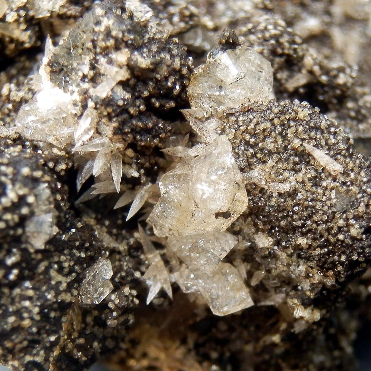 Phacolite & Calcite & Chabazite & Phillipsite