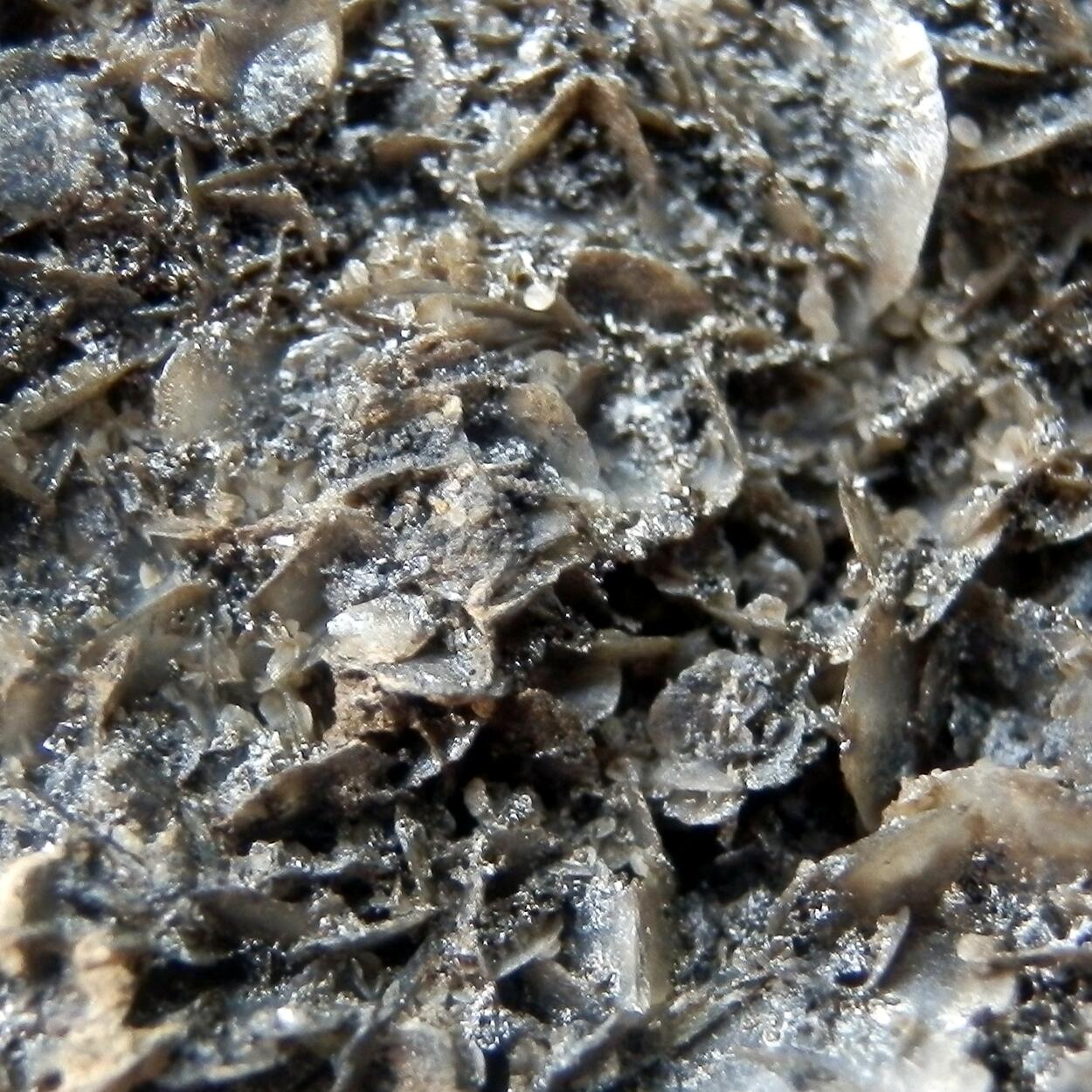 Todorokite & Calcite