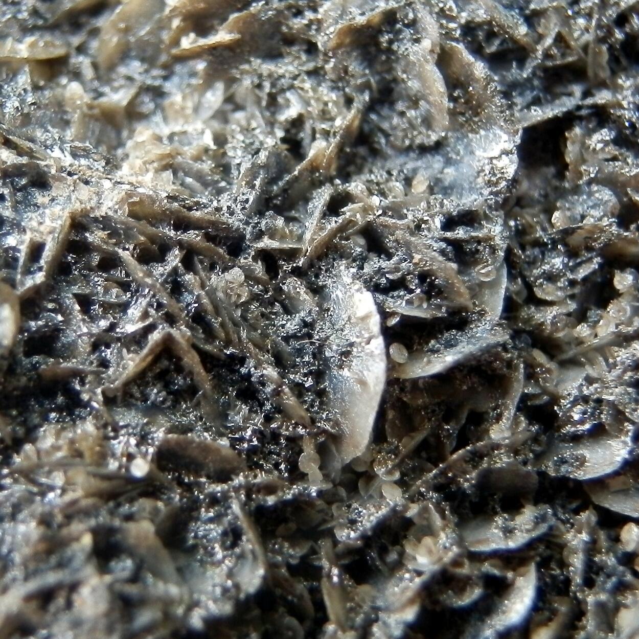 Todorokite & Calcite