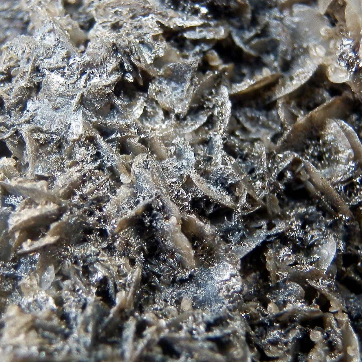 Todorokite & Calcite