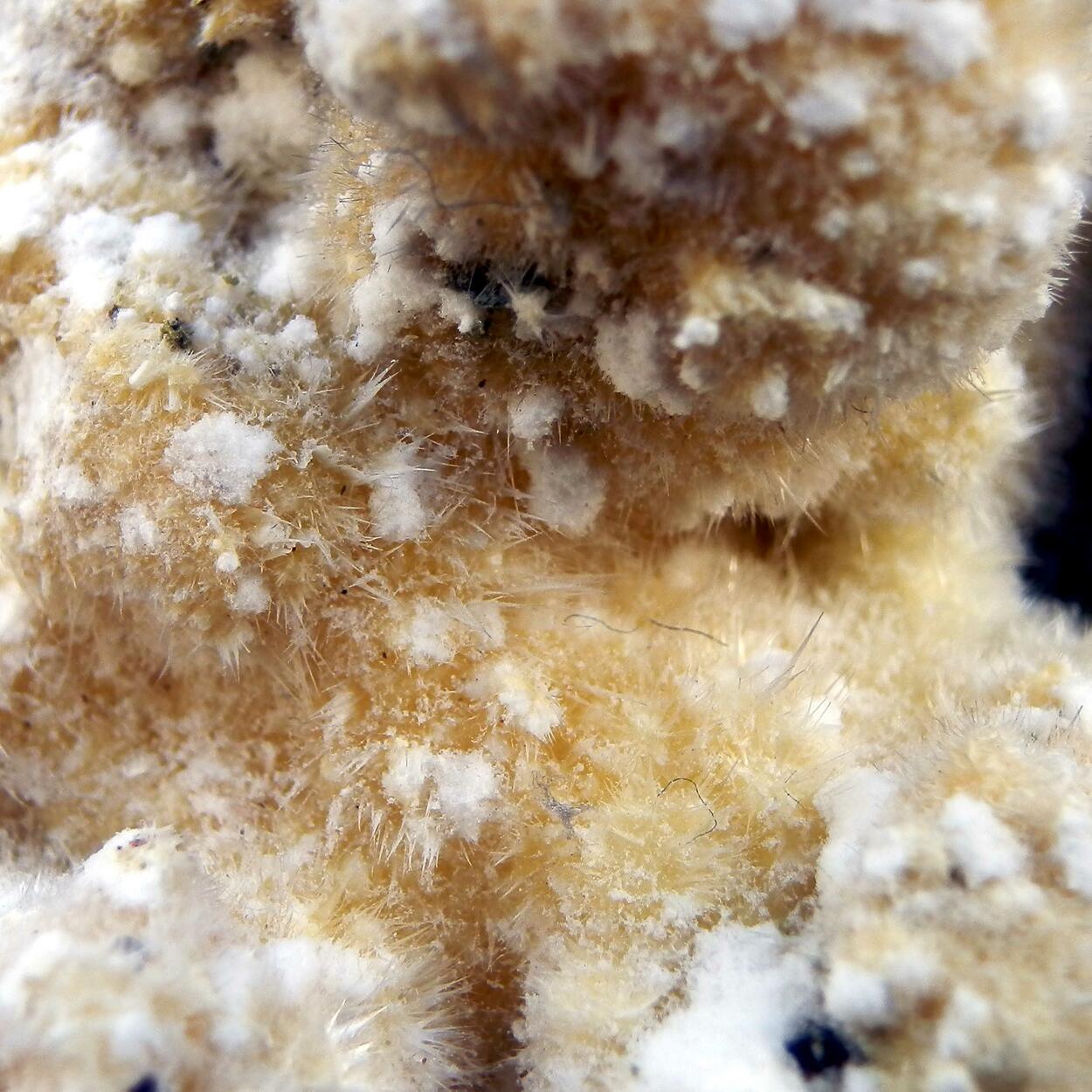 Alunogen & Halotrichite